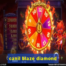 canil blaze diamond